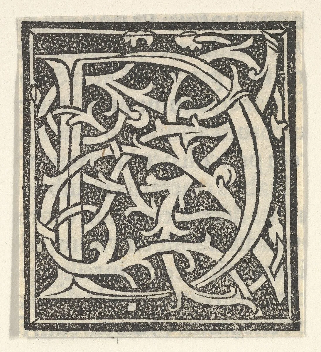 Initial letter D on patterned background — Anonymous, Italian, 16th century