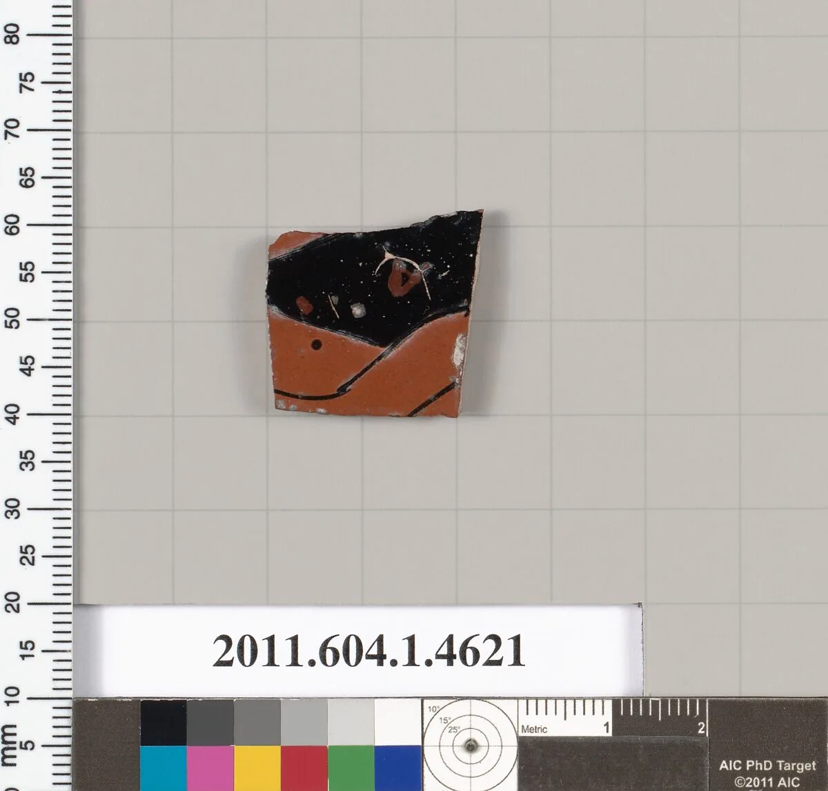 Terracotta fragment of a kylix (drinking cup) — Unknown