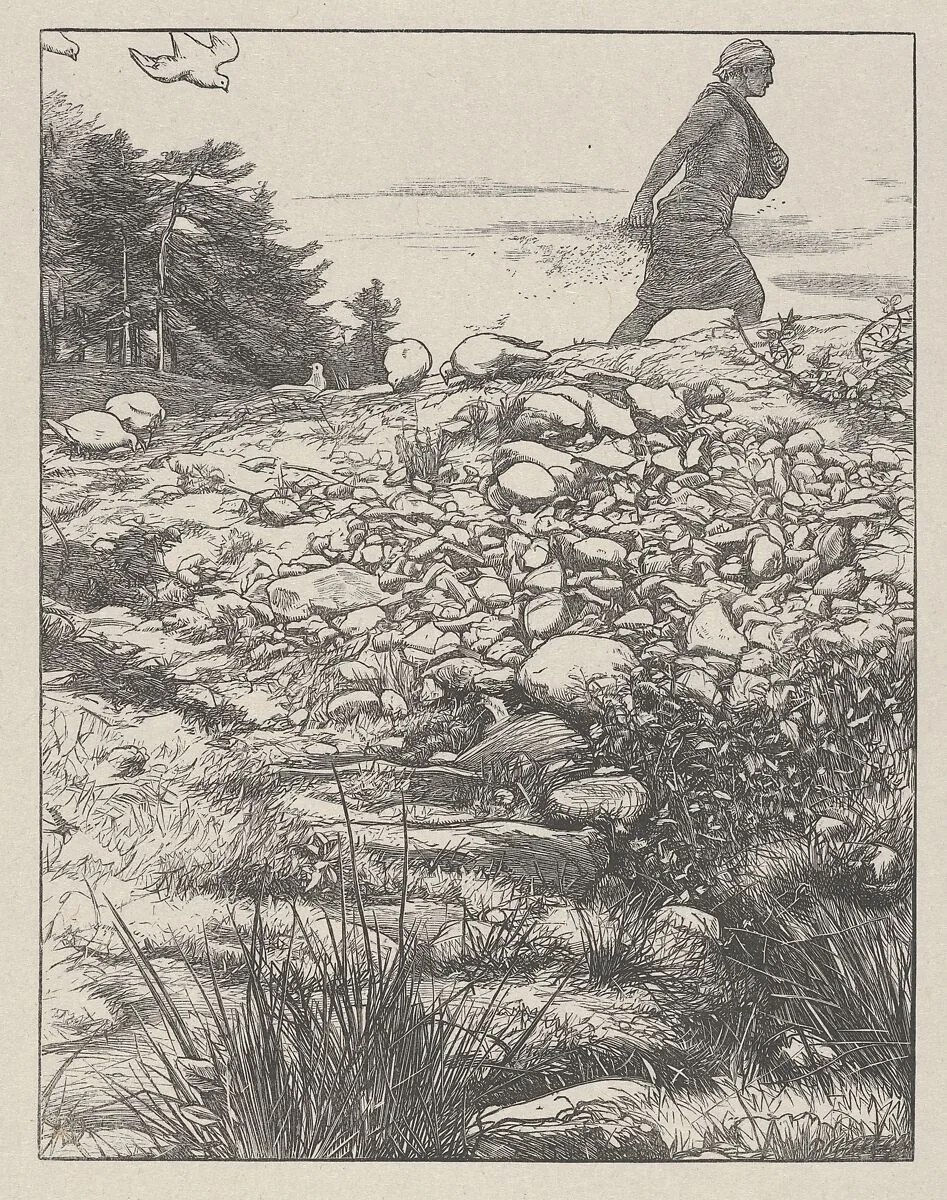 The Sower (The Parables of Our Lord and Saviour Jesus Christ) — Dalziel Brothers|Sir John Everett Millais