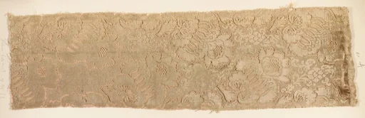 Fragment