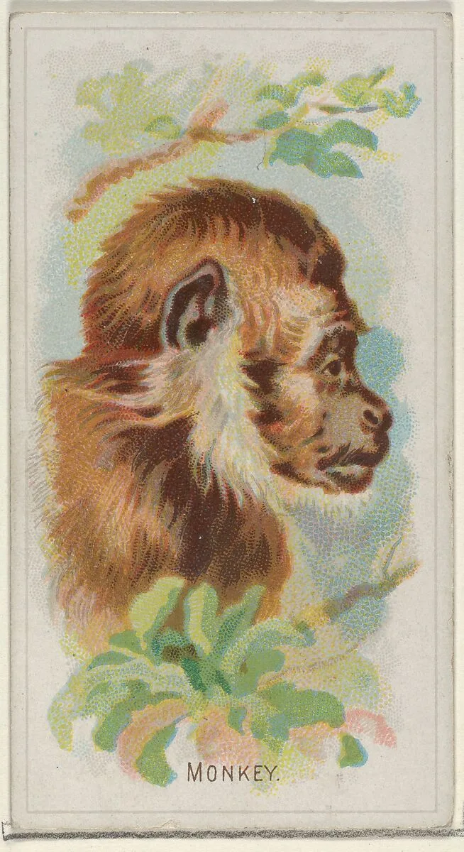 Monkey, from the Wild Animals of the World series (N25) for Allen & Ginter Cigarettes — Allen & Ginter|George S. Harris & Sons