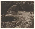 The Brook — Anne W. Brigman