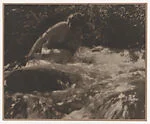 The Brook