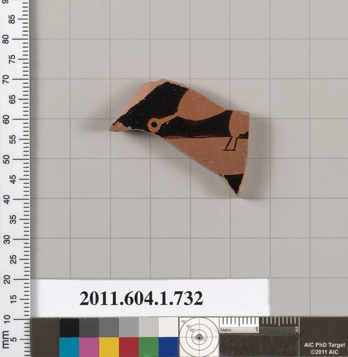 Terracotta fragment of a kylix (drinking cup) — Unknown
