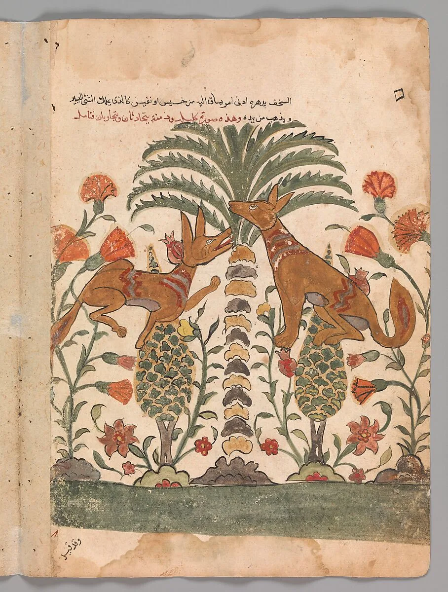 "Kalila Upbraiding Dimna", Folio from a Kalila wa Dimna — Unknown