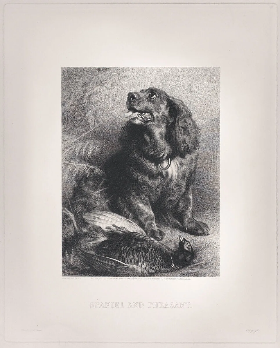 Spaniel and Pheasant — Sir Edwin Henry Landseer|Charles George Lewis|Pilgeram & Lefèvre