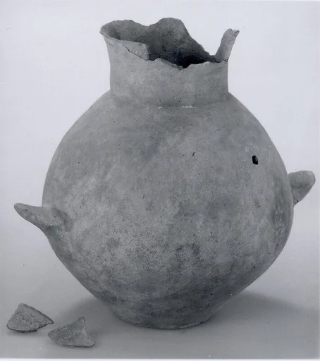 Jar with ledge handles and punctate decoration