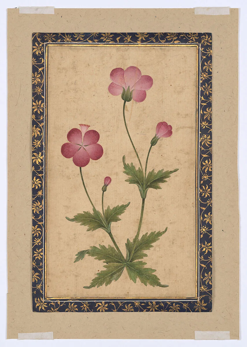 Botanical Painting: Composite Flower — Unknown