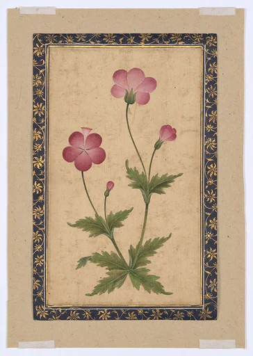 Botanical Painting: Composite Flower
