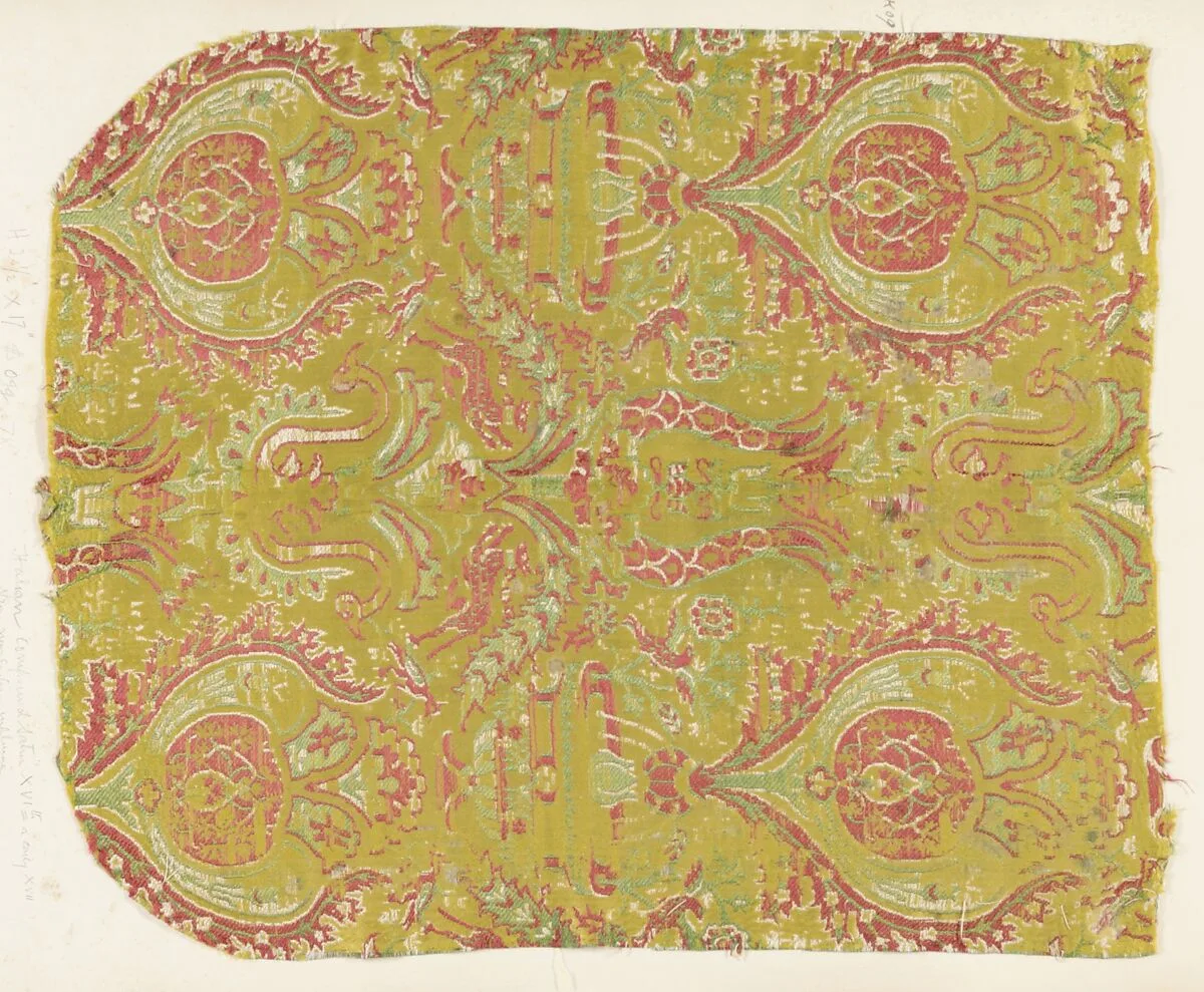 Fragment — Unknown