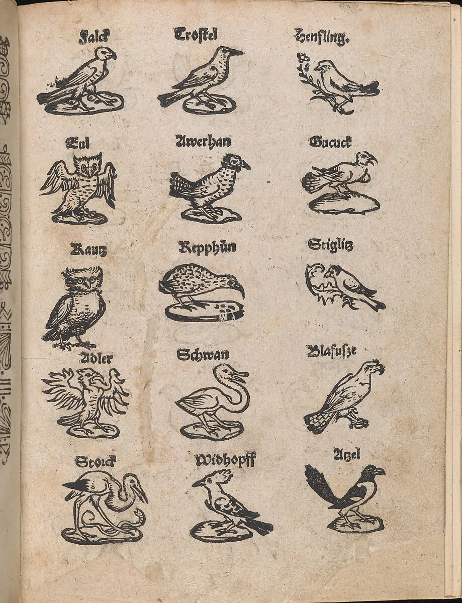 Modelbuch aller Art Nehens vn Stickens (Page 13r) — Christian Egenolff