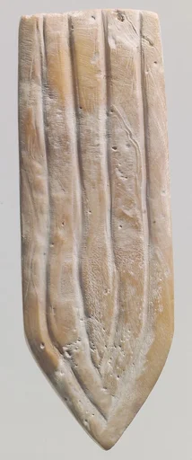 Shell fragment