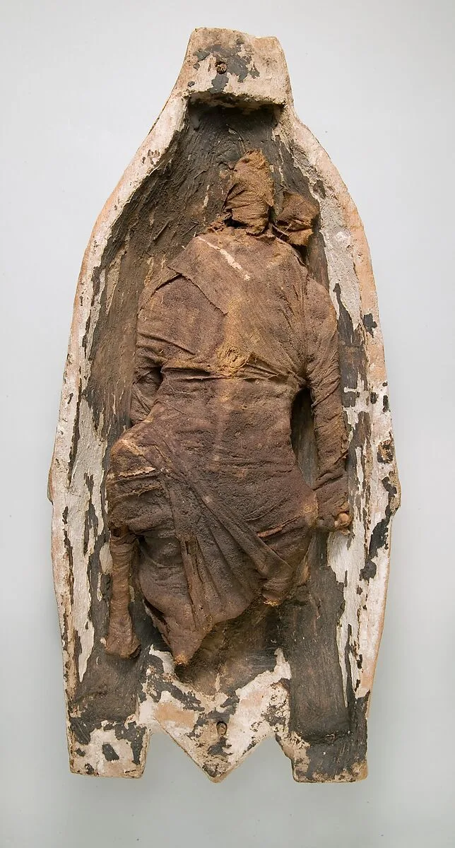 Half of a Food Case Containing a Preserved Goose — Unknown