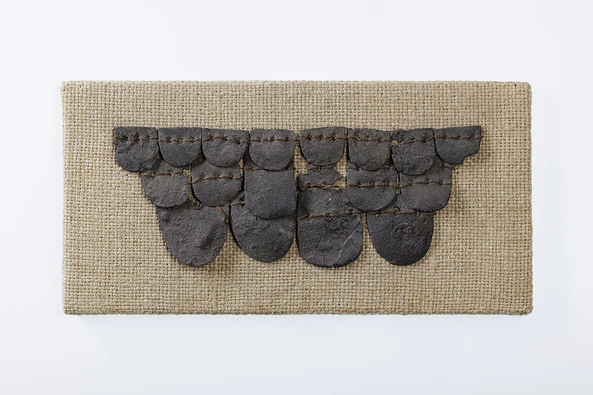 Armor Scales — Unknown