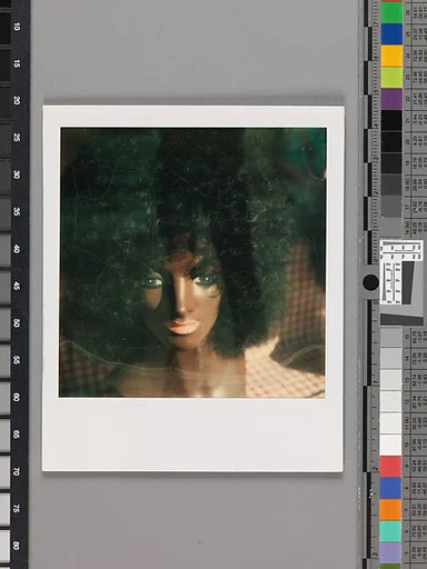 [Head of Mannequin: Afro Wig]