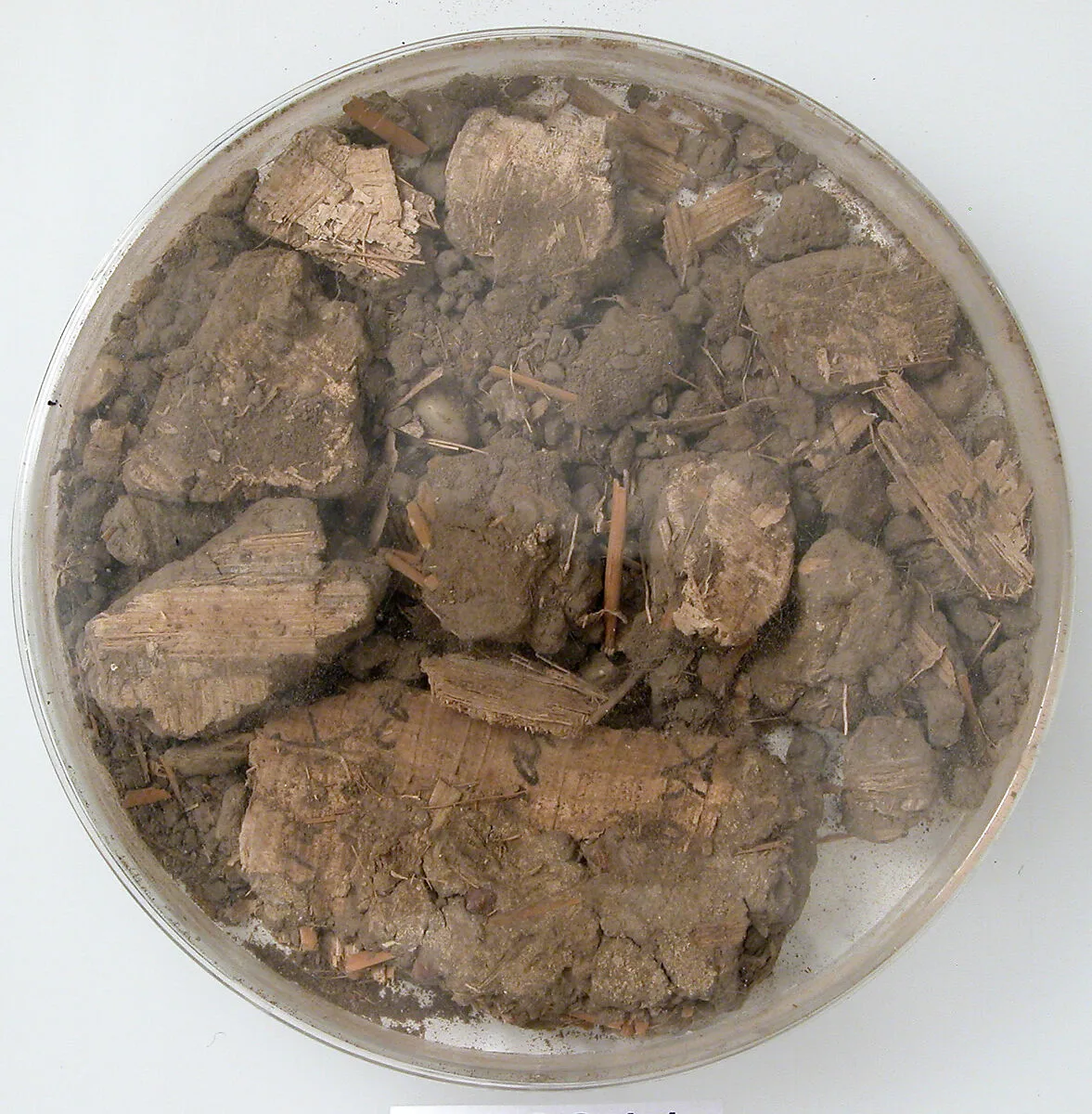 Papyri Fragments and Mud — Unknown