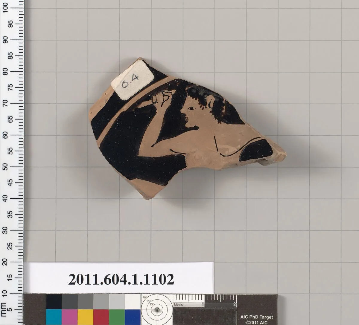 Terracotta fragment of a kylix (drinking cup) — Unknown