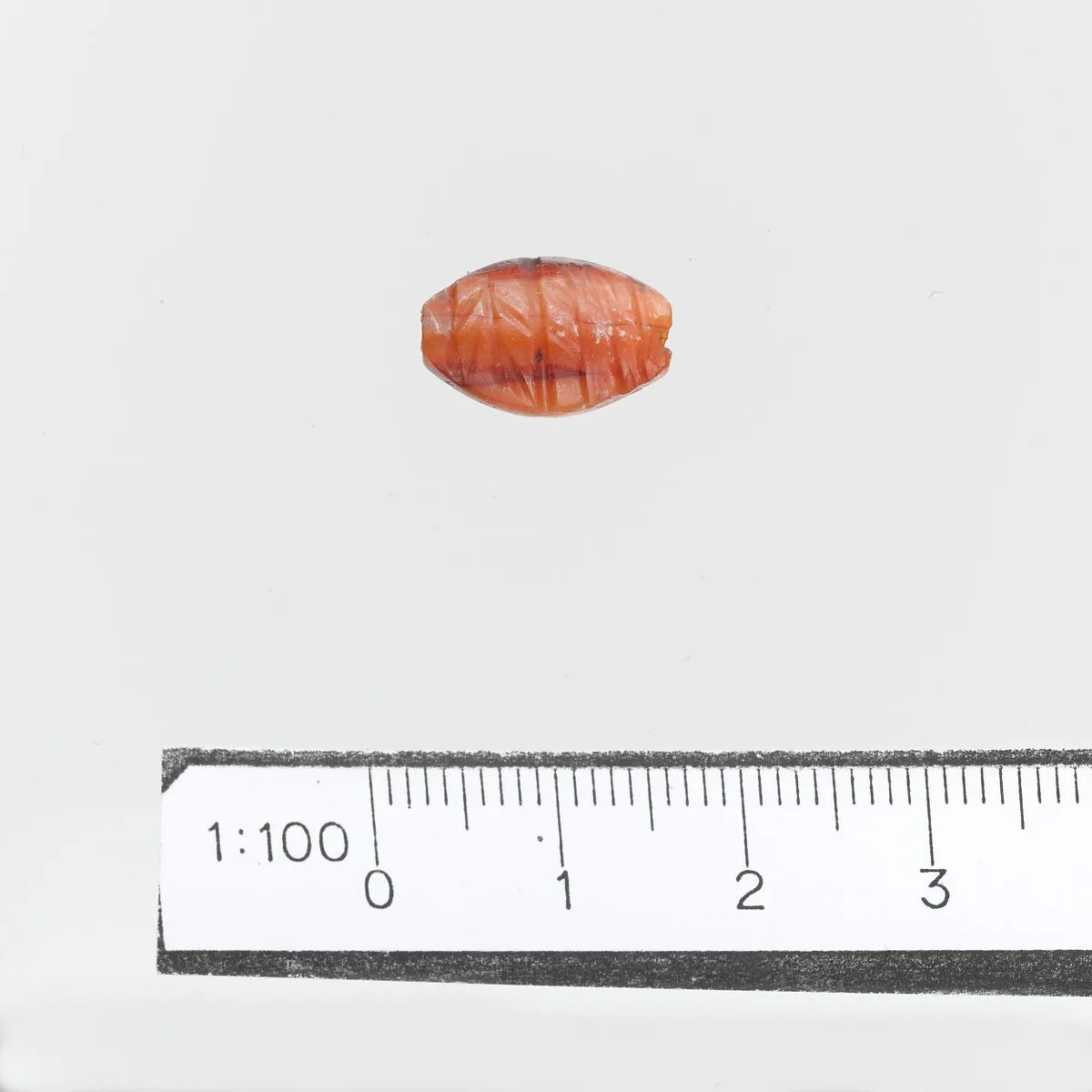 Seal — Unknown