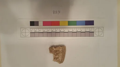 Stucco Fragment