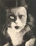 Io + gatto — Wanda Wulz