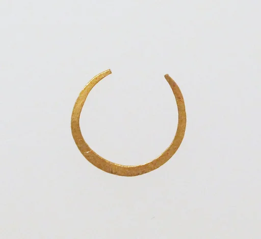 Earring-loop type, hammered flat