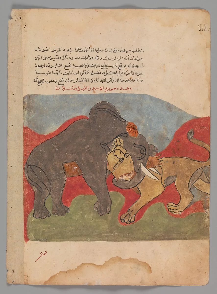 "The Lion and the Elephant Fighting", Folio from a Kalila wa Dimna — Unknown
