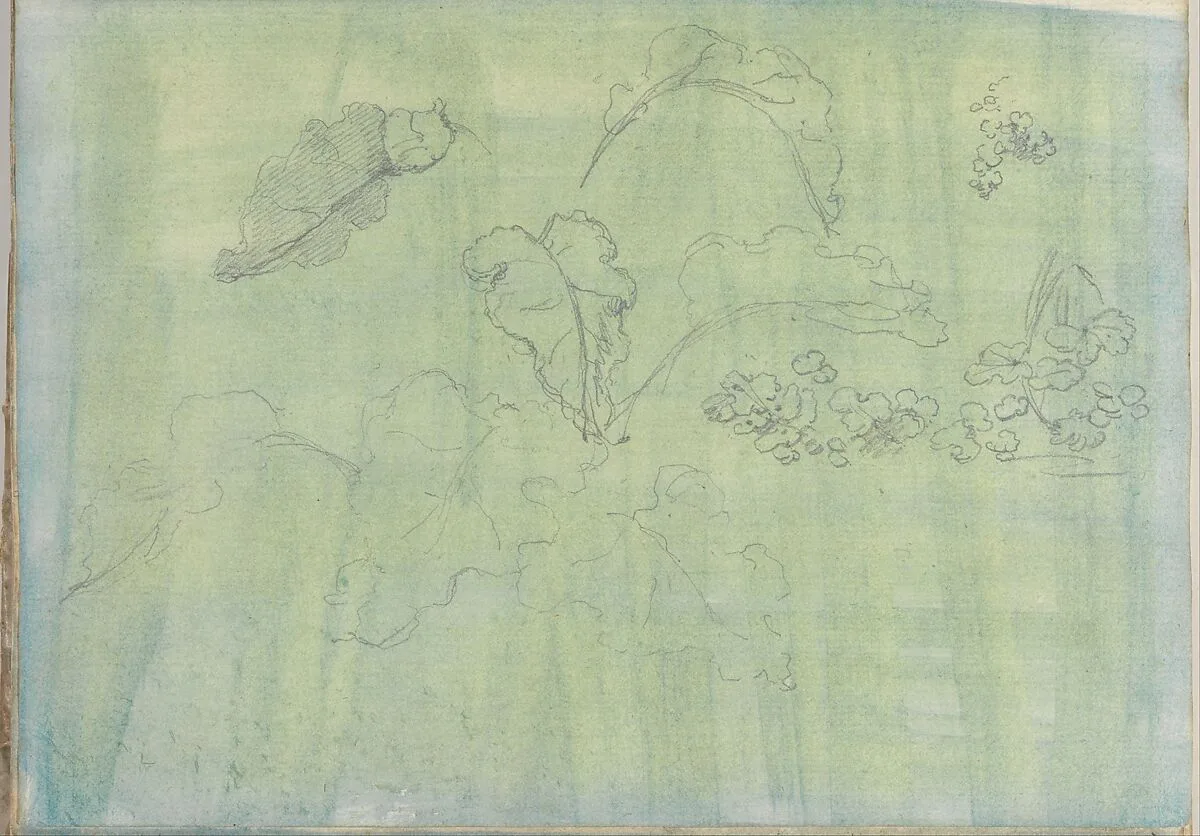 Carved Panel and Border Ornament (recto); Sketches of Leaves (verso) (Smaller Italian Sketchbook, leaf 21) — Joseph Wright (Wright of Derby)