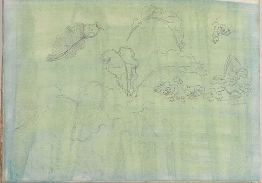 Carved Panel and Border Ornament (recto); Sketches of Leaves (verso) (Smaller Italian Sketchbook, leaf 21)