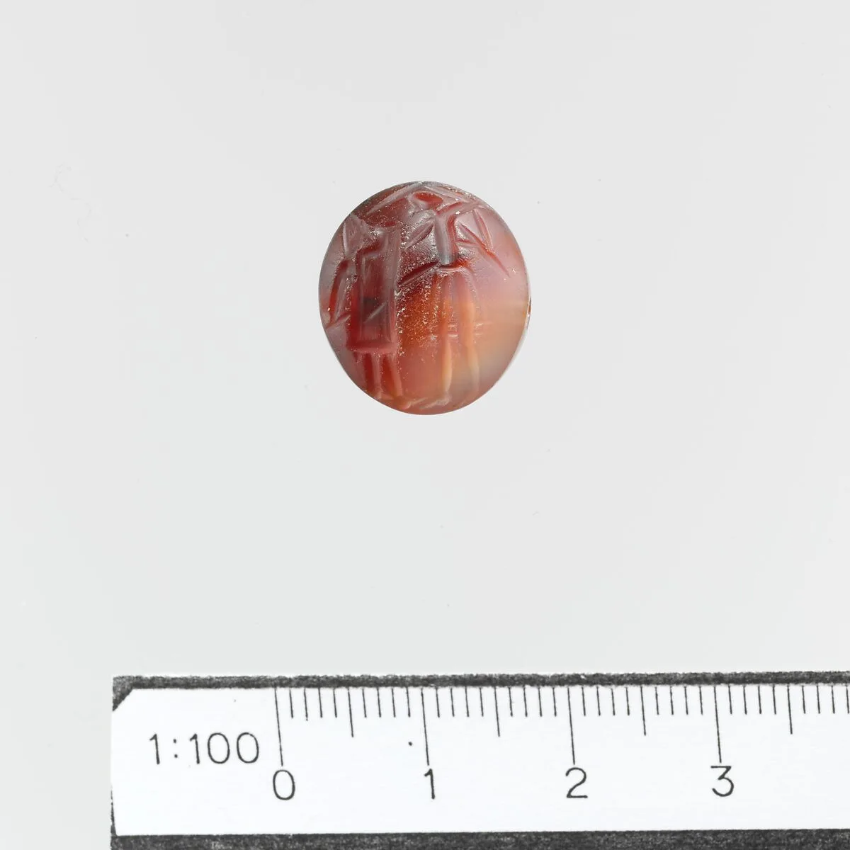 Seal — Unknown