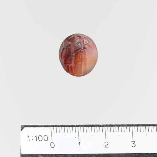 Seal