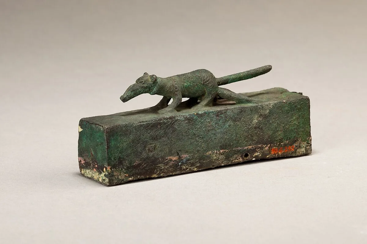 Box for animal mummy — Unknown