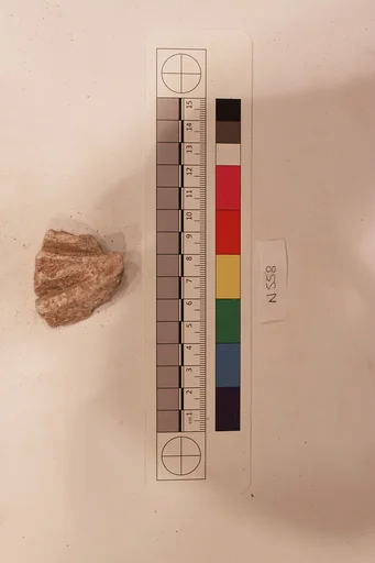 Stucco Fragment