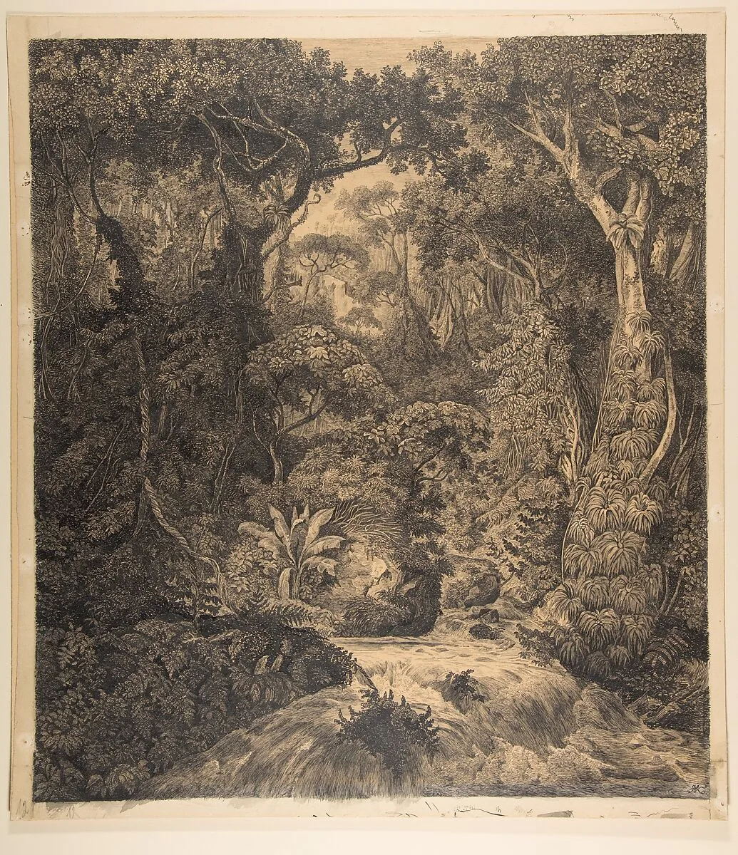 Ceylonese Jungle — Hermann von Königsbrunn