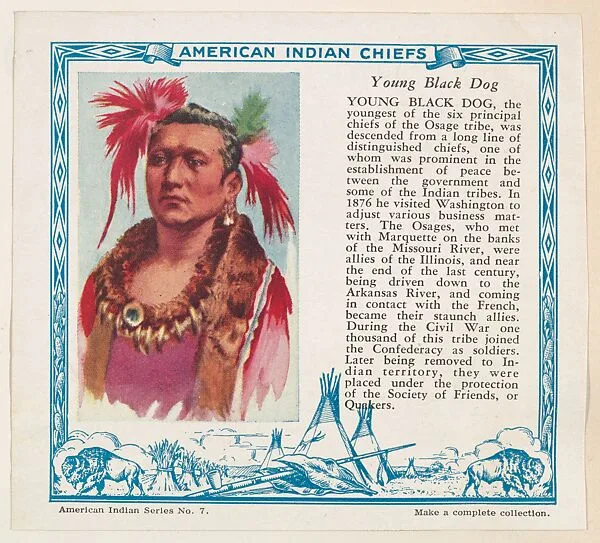 Young Black Dog, No. 7, collector card from the American Indian Series (D6), issued by the Kelley Baking Company to promote Kelley's Bread — Kelley Baking Company