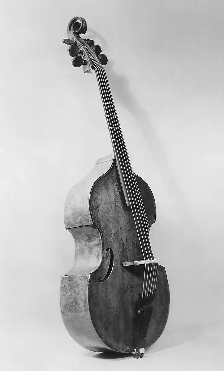 Small Division Viol — Unknown