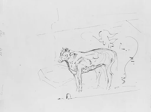 Cow