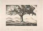 The Tree — Rockwell Kent