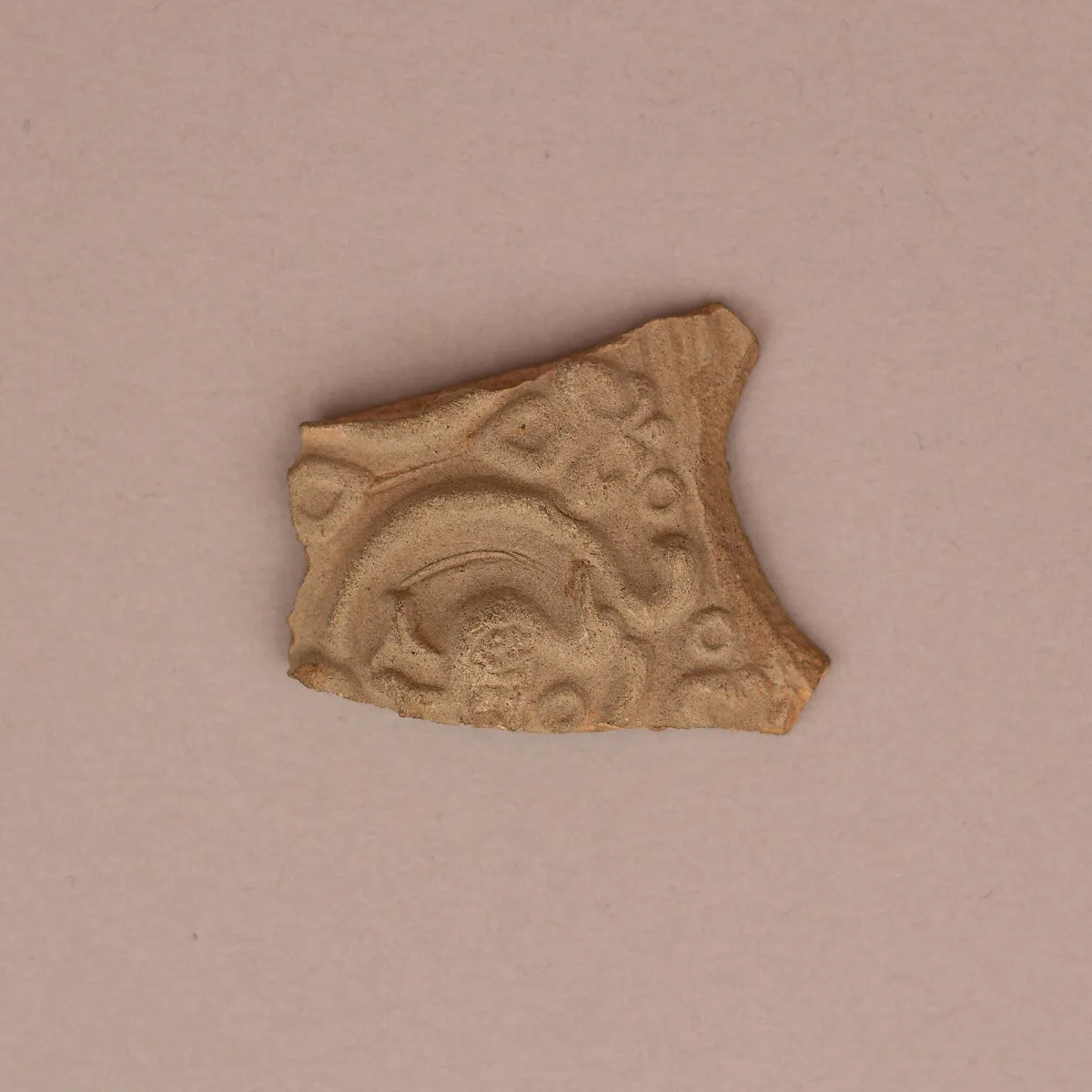 Fragment — Unknown