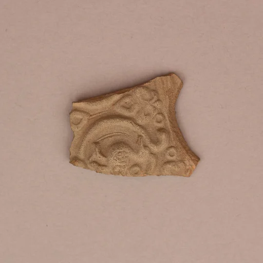 Fragment