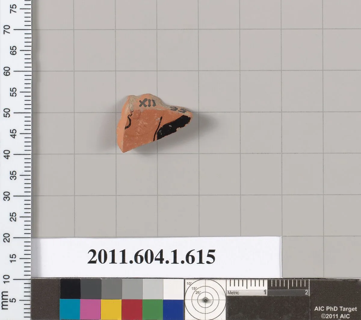 Terracotta fragment of a kylix (drinking cup) — Unknown