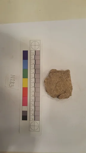Stucco Fragment