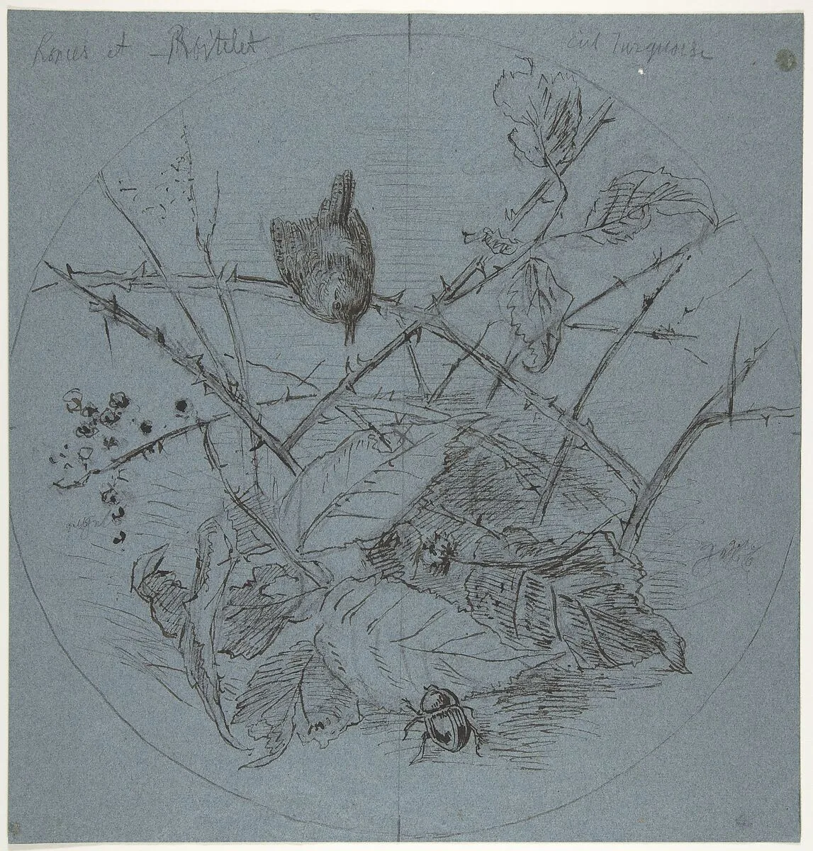 Design for a Plate — Karl Bodmer