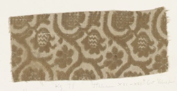 Fragment — Unknown