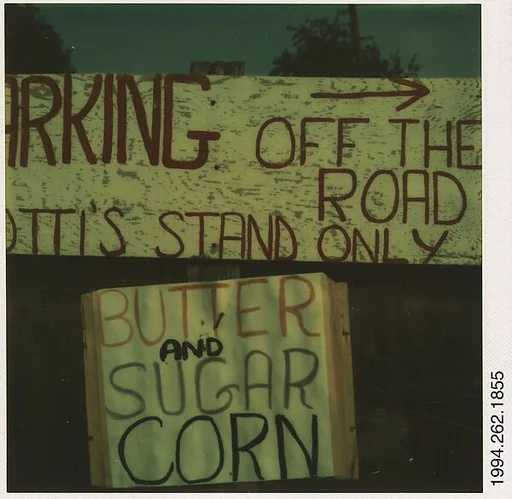 [Roadside Sign: Fruit and Vegetable Stand]