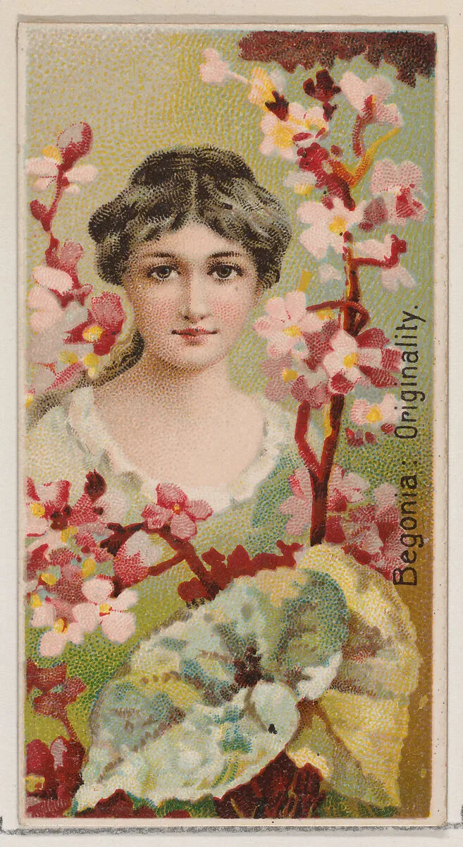 Begonia: Originality, from the series Floral Beauties and Language of Flowers (N75) for Duke brand cigarettes — Donaldson Brothers|American Tobacco Company