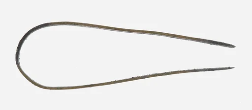 Tweezers