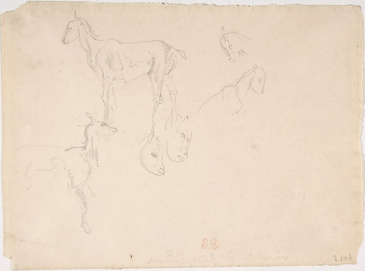 Studies of a Goat — Eugène Delacroix