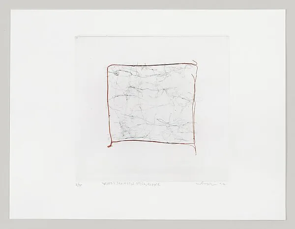 Wire: Stainless Steel, Copper — Supreme Digital|American Abstract Artists|Leo Rabkin