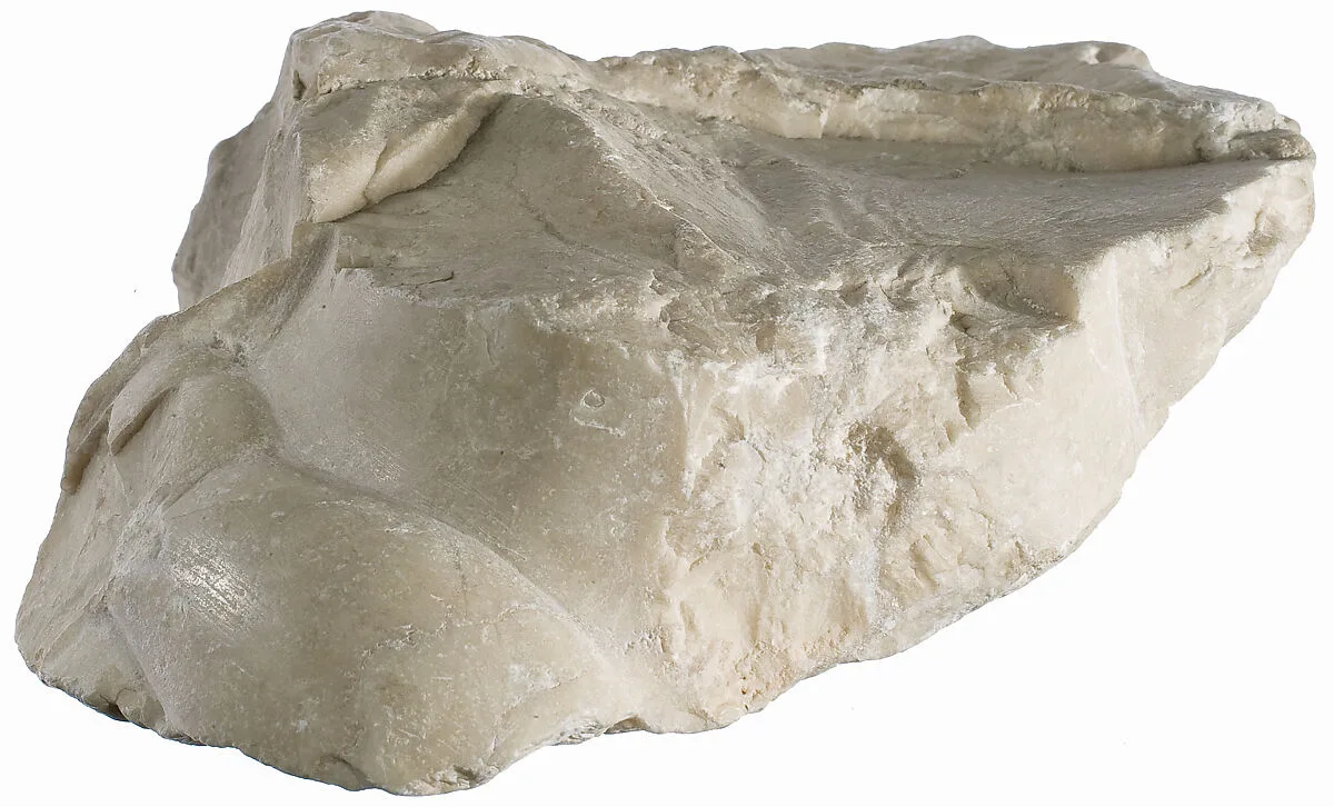 Foot fragment — Unknown