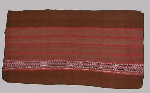 Woman's Overskirt, Half (?)